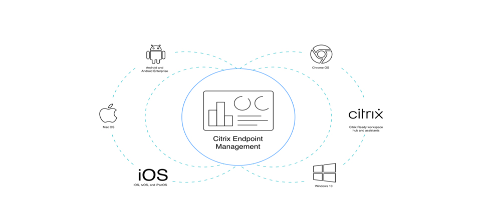 Citrix 终端管理